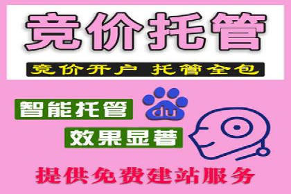 真实案例解析：SEM代运营托管公司的优势与挑战